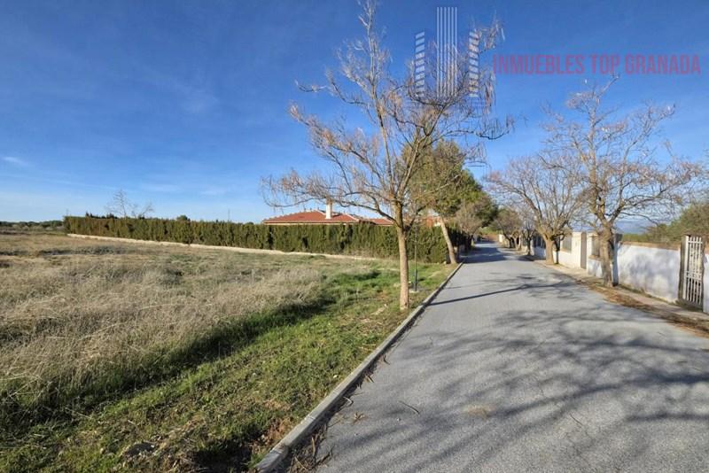 Venta de terreno en Padul