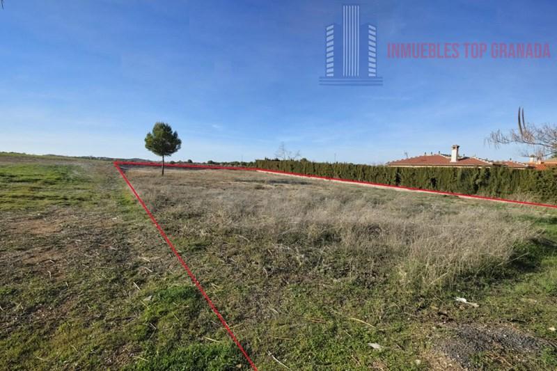 For sale of land in Padul