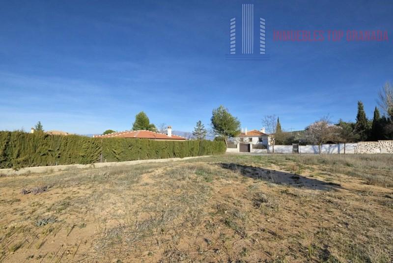 Venta de terreno en Padul