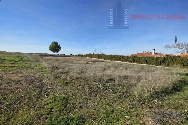 For sale of land in Padul