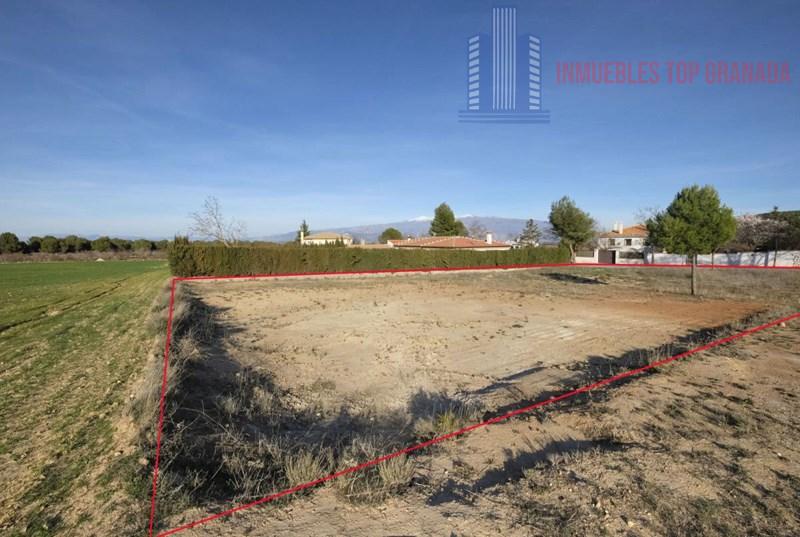 Venta de terreno en Padul