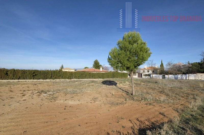 Venta de terreno en Padul