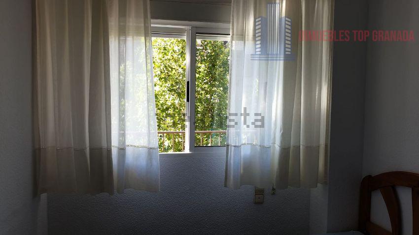 For rent of flat in Granada