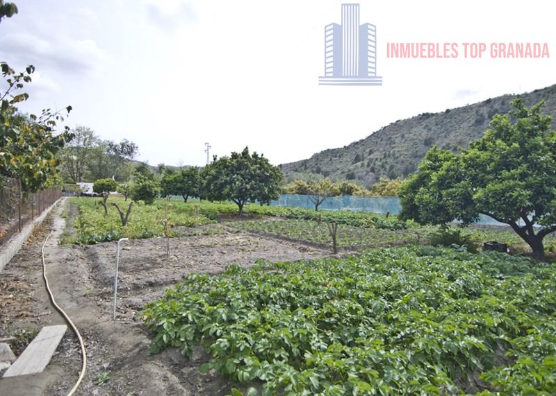 For sale of rural property in Vélez de Benaudalla