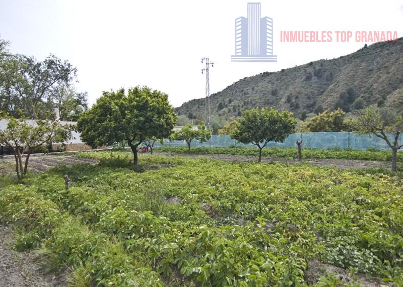 For sale of rural property in Vélez de Benaudalla