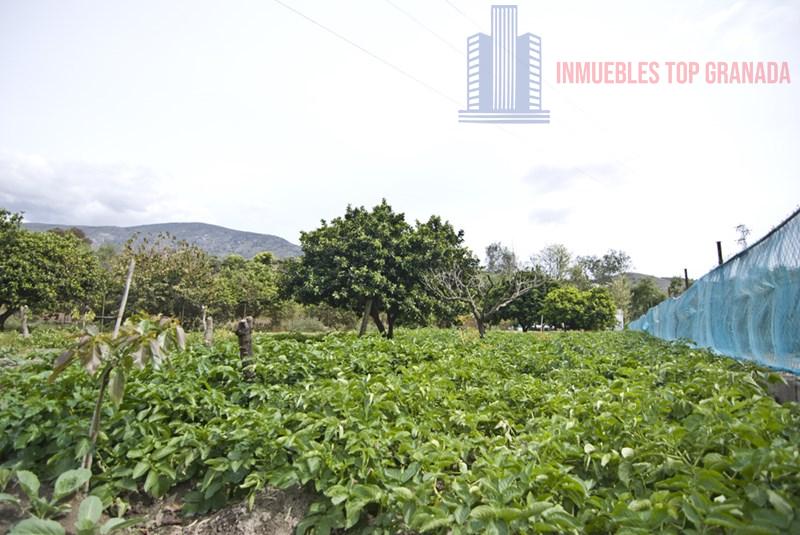 For sale of rural property in Vélez de Benaudalla