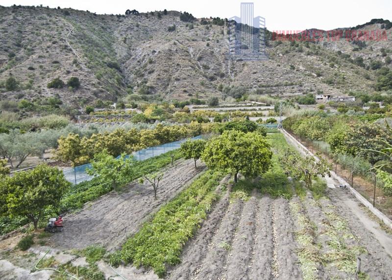 For sale of rural property in Vélez de Benaudalla