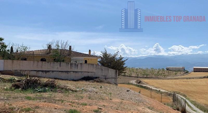For sale of land in Híjar