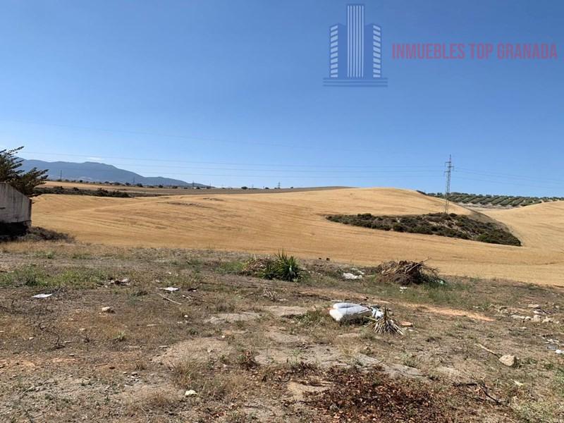 For sale of land in Híjar