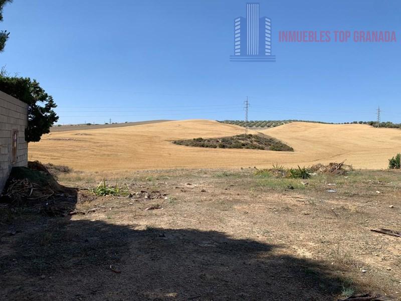For sale of land in Híjar