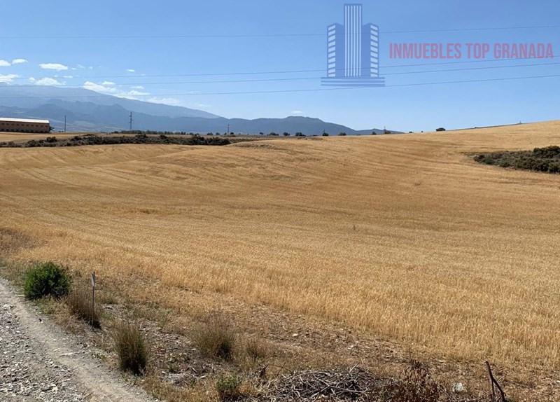 For sale of land in Híjar