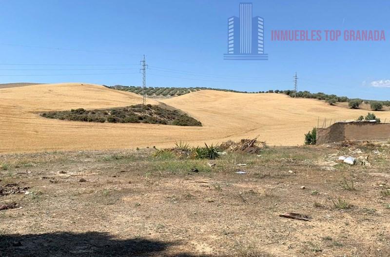 For sale of land in Híjar