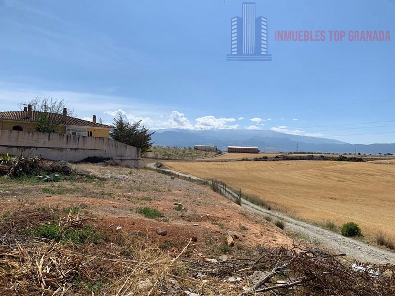 For sale of land in Híjar