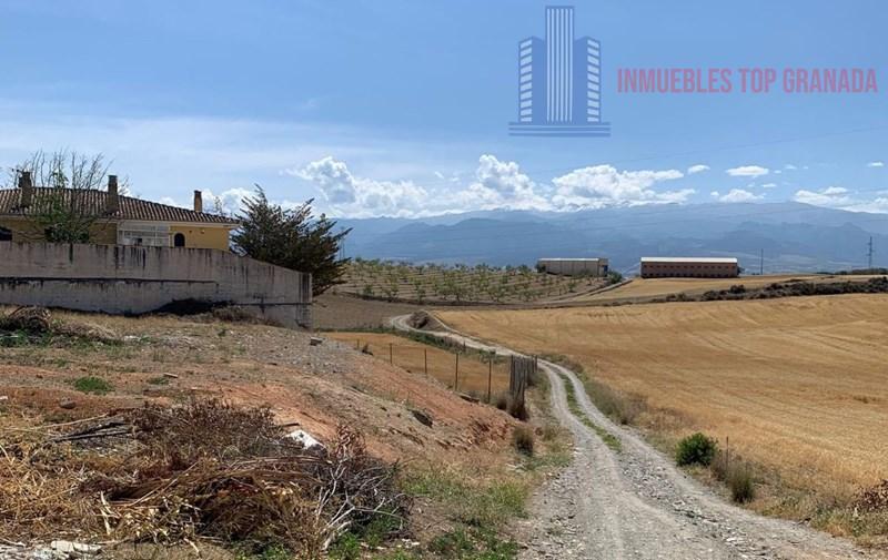 For sale of land in Híjar