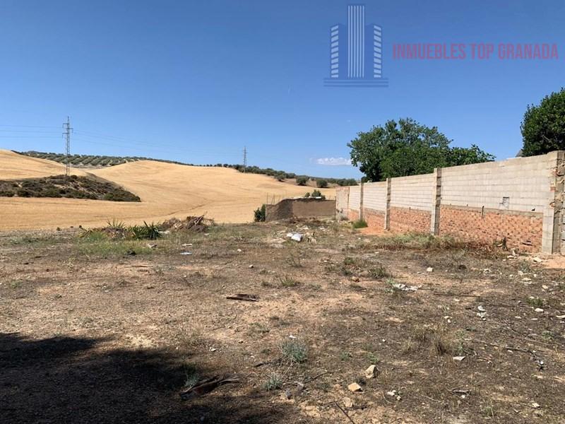 For sale of land in Híjar