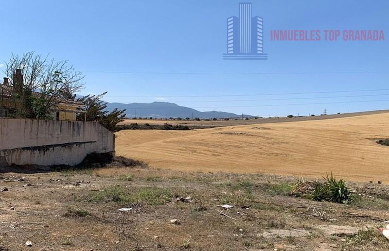 For sale of land in Híjar