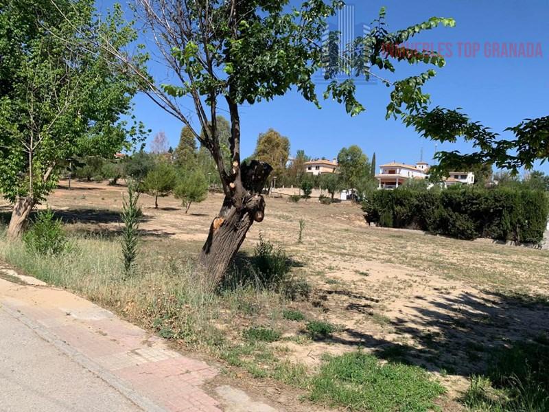 For sale of land in Híjar