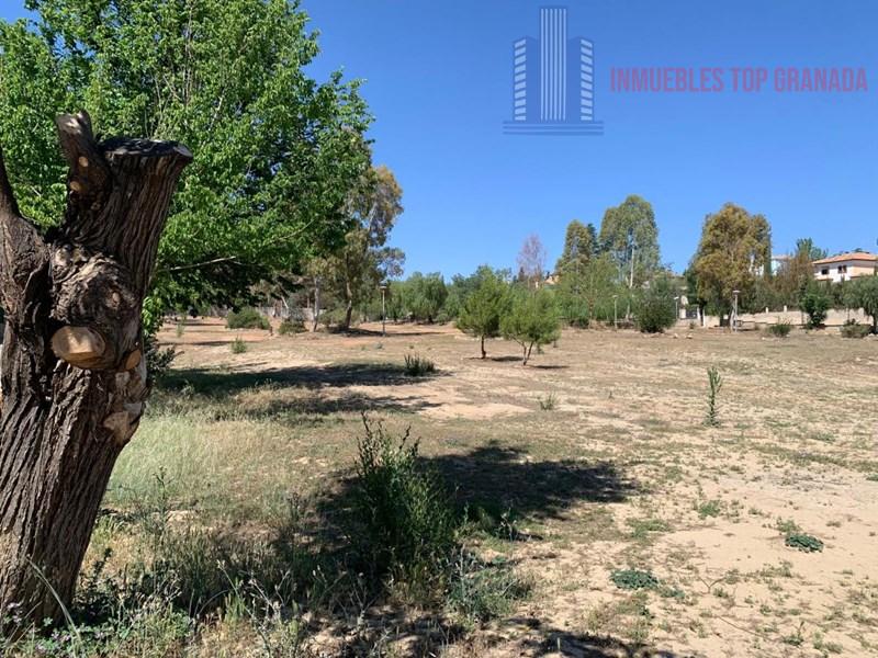 For sale of land in Híjar