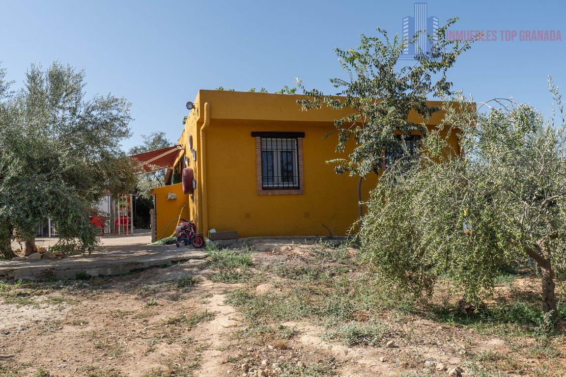 For sale of rural property in Cogollos de la Vega