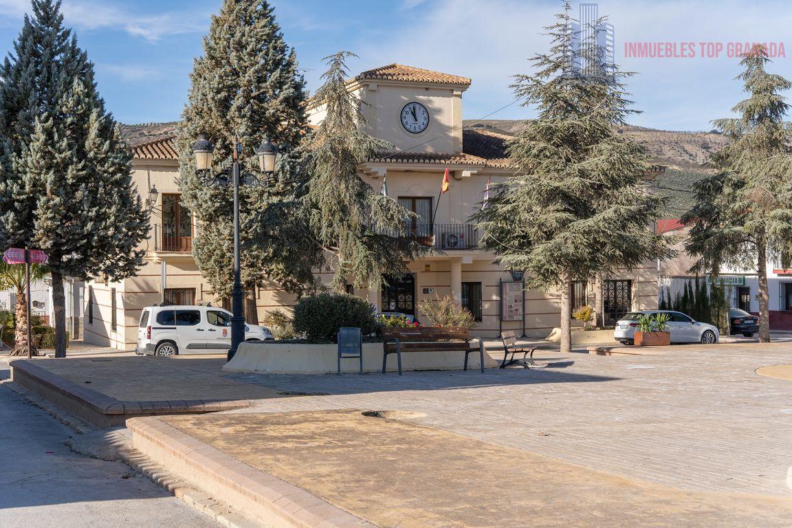 For sale of house in Cacín