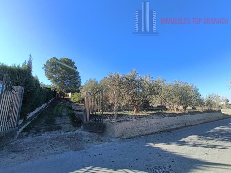 For sale of chalet in Las Gabias