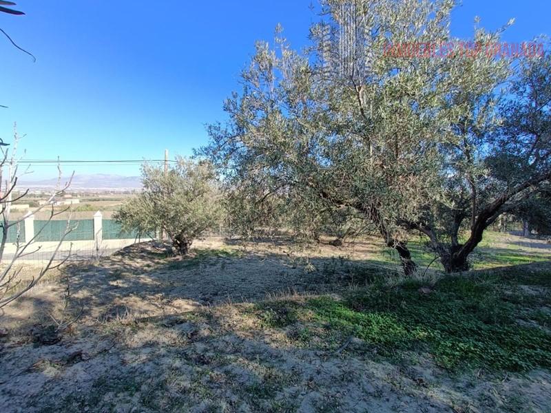 For sale of chalet in Las Gabias