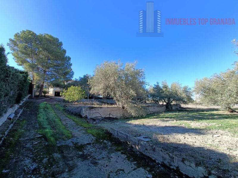 For sale of chalet in Las Gabias