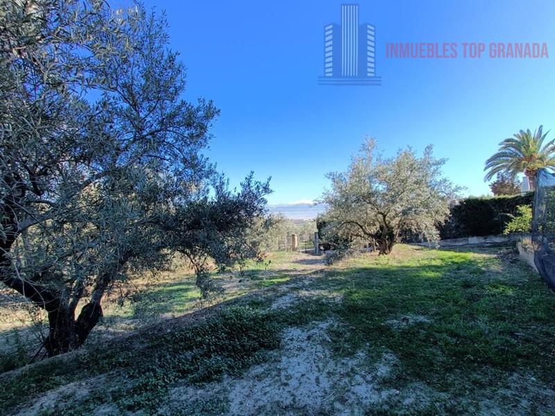 For sale of chalet in Las Gabias