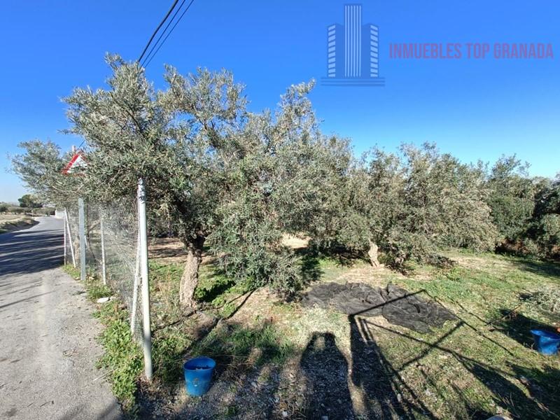 For sale of chalet in Las Gabias