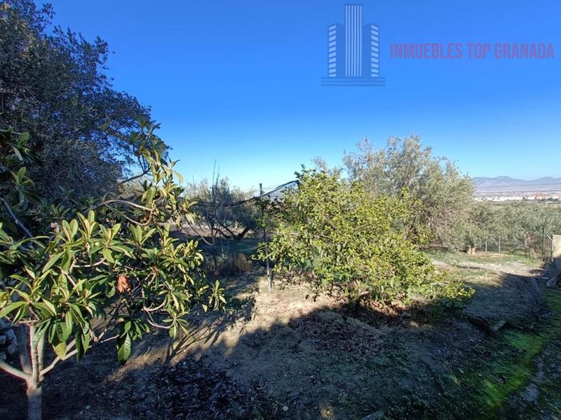 For sale of chalet in Las Gabias