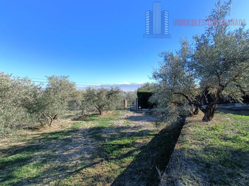 For sale of chalet in Las Gabias