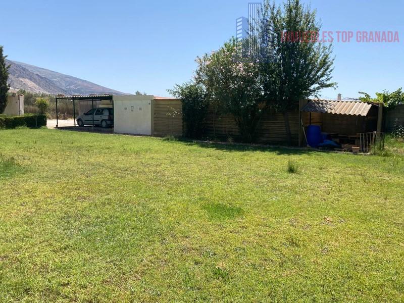 For sale of rural property in Padul