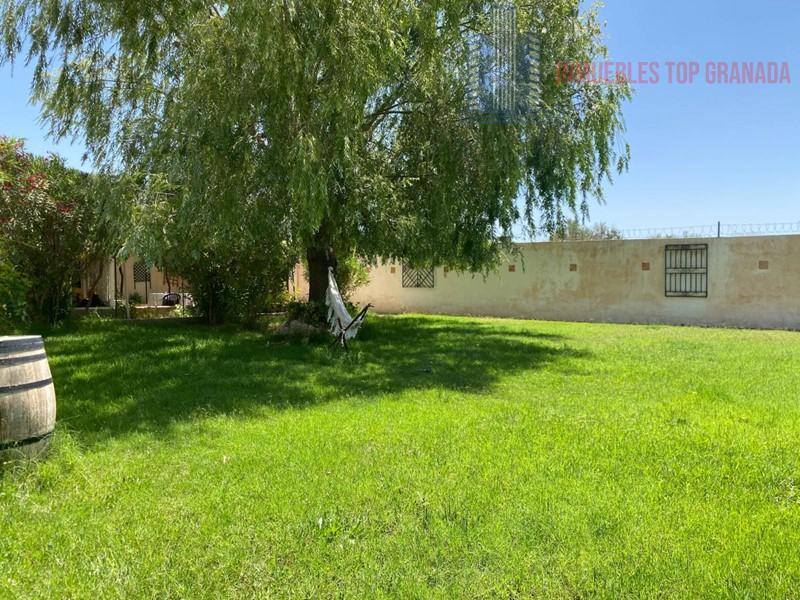 For sale of rural property in Padul