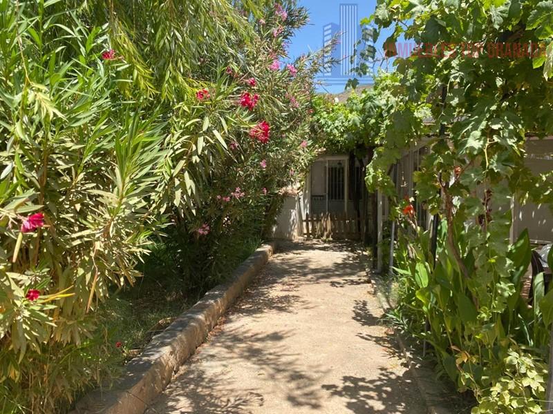 For sale of rural property in Padul