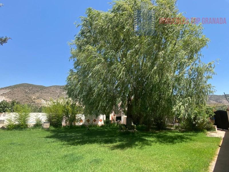 For sale of rural property in Padul