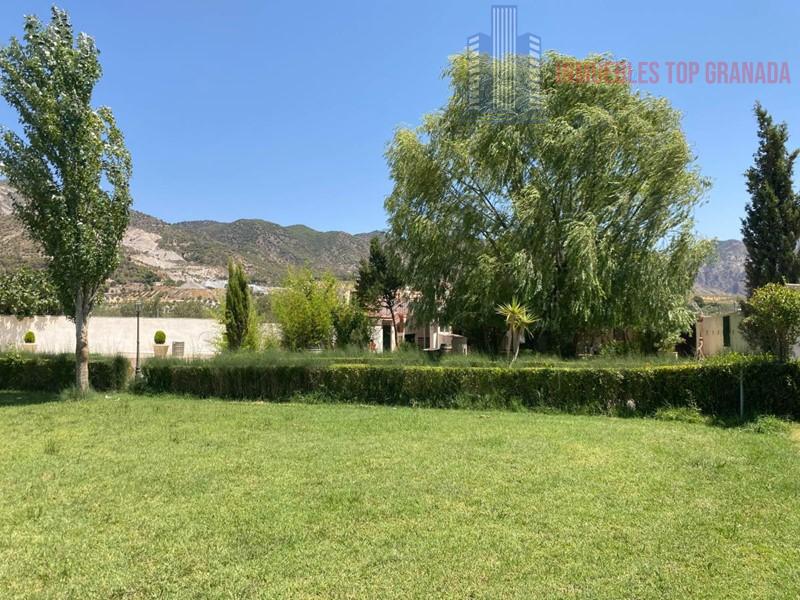 For sale of rural property in Padul