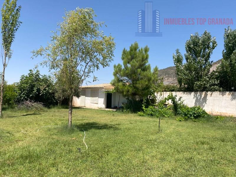 For sale of rural property in Padul
