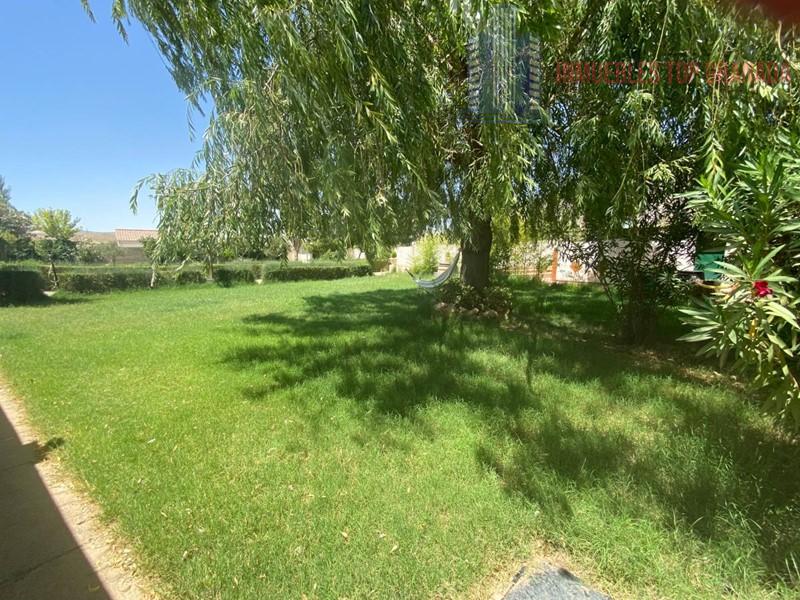 For sale of rural property in Padul