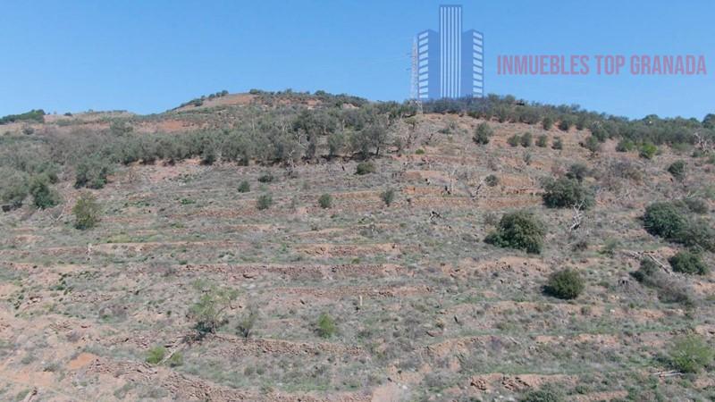 For sale of rural property in Lanjarón