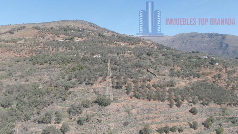 For sale of rural property in Lanjarón