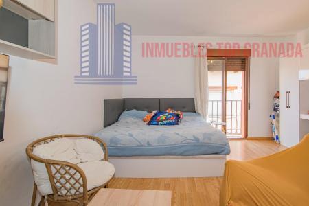 Venta de estudio en La Zubia