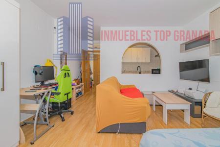 Venta de estudio en La Zubia