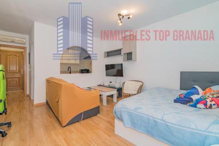 Venta de estudio en La Zubia