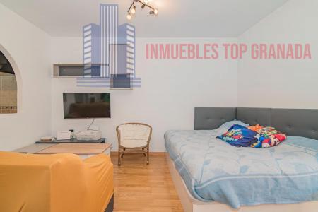 Venta de estudio en La Zubia