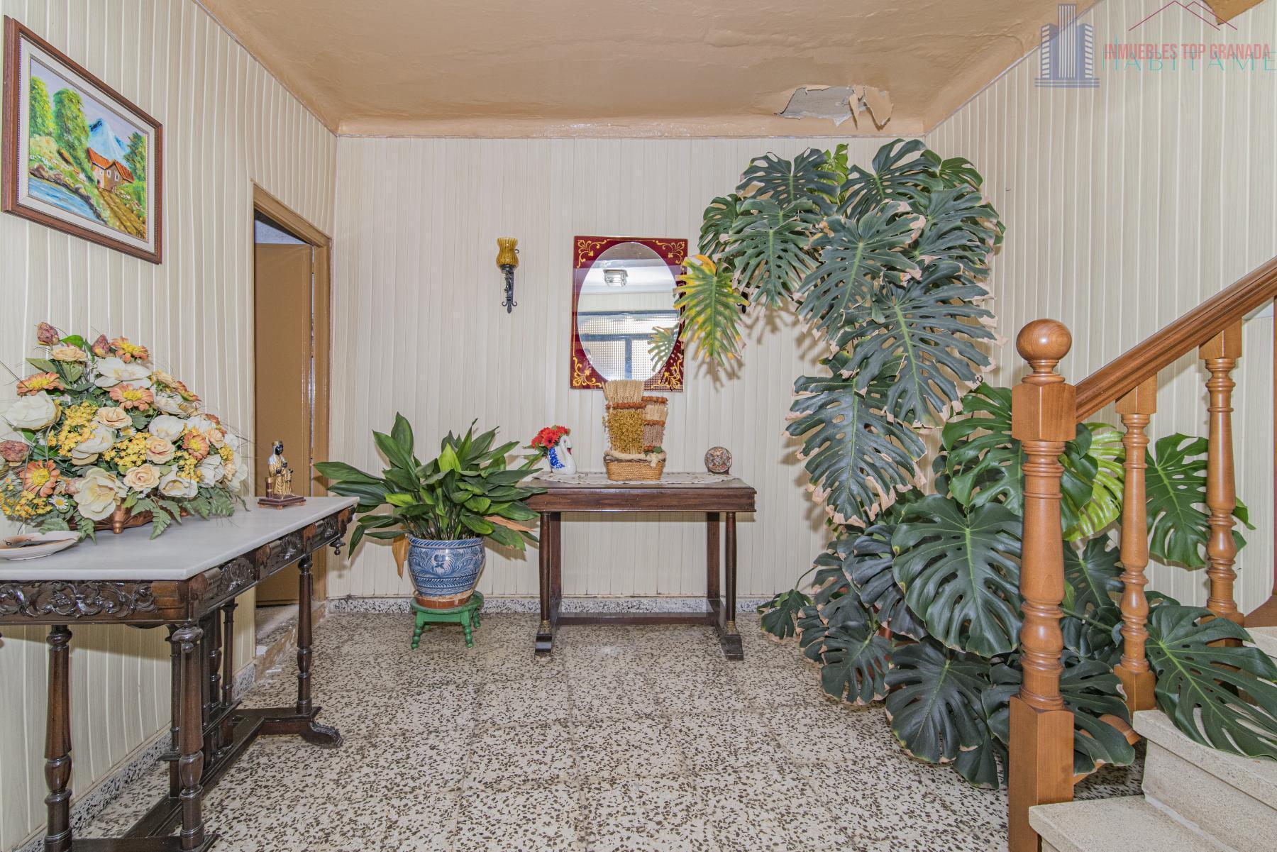 For sale of house in Alhendín