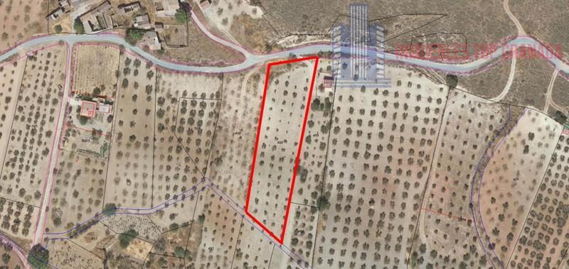For sale of land in Padul
