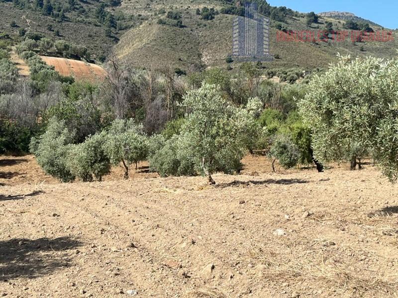 For sale of land in Padul