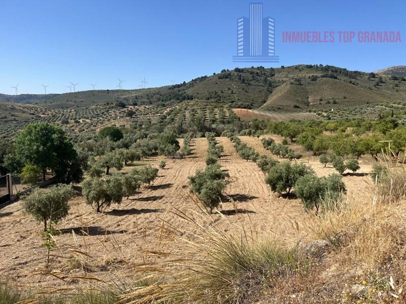 For sale of land in Padul