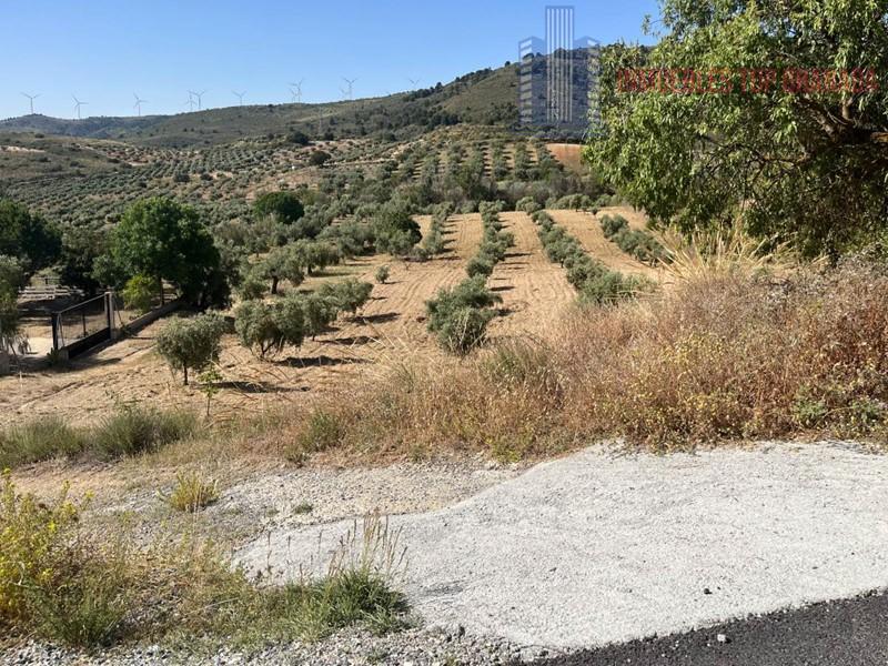 For sale of land in Padul