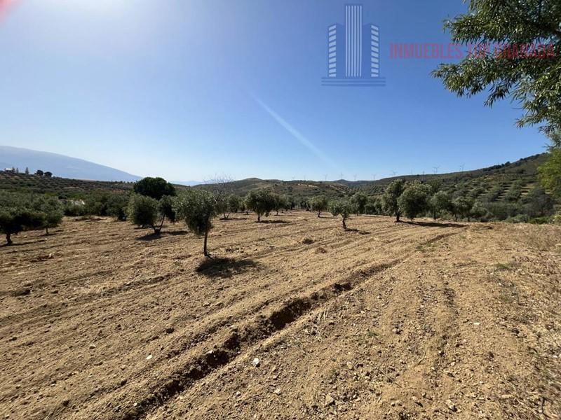 For sale of land in Padul